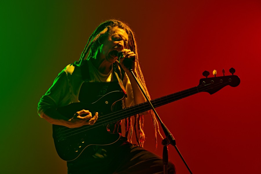 Quelle est l'histoire du reggae en France ?